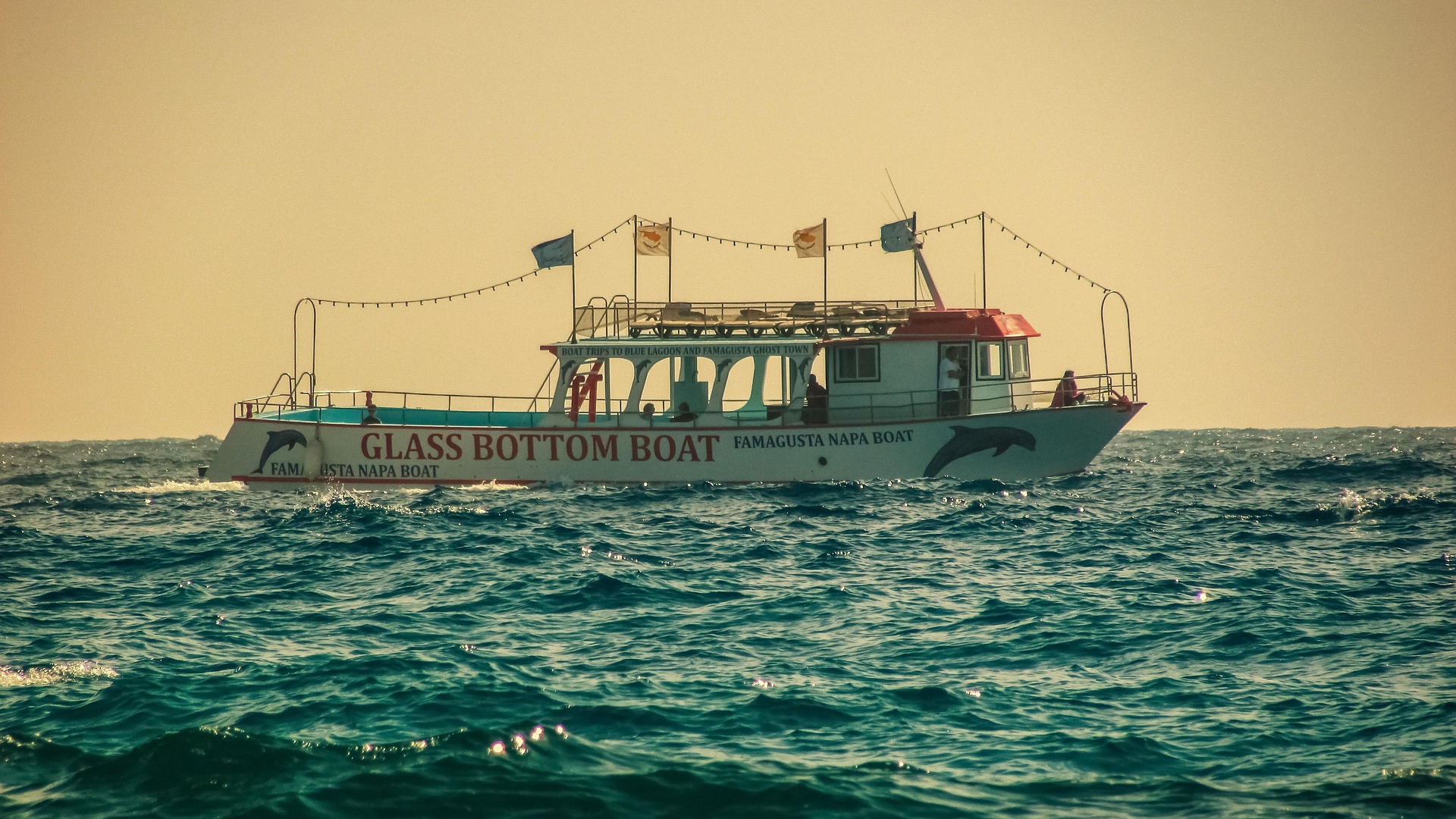 🛥️ Glass Bottom boat